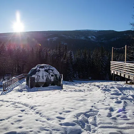 Bunny Glamp Корбелюв