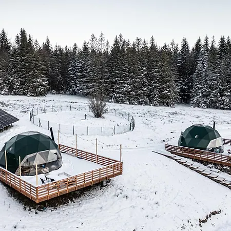 Bunny Glamp Korbielów