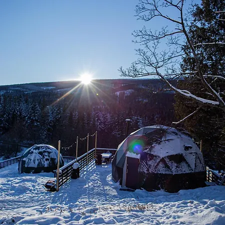 Luksusowy namiot Bunny Glamp Korbielów