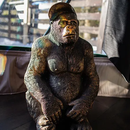 Bunny Glamp كوربييلوف