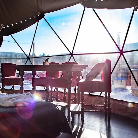 Glamping Bunny Glamp *