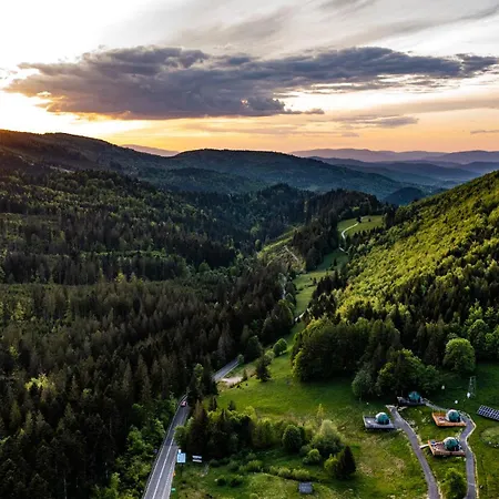 Bunny Glamp * كوربييلوف