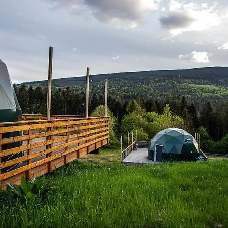 Bunny Glamp Корбелюв
