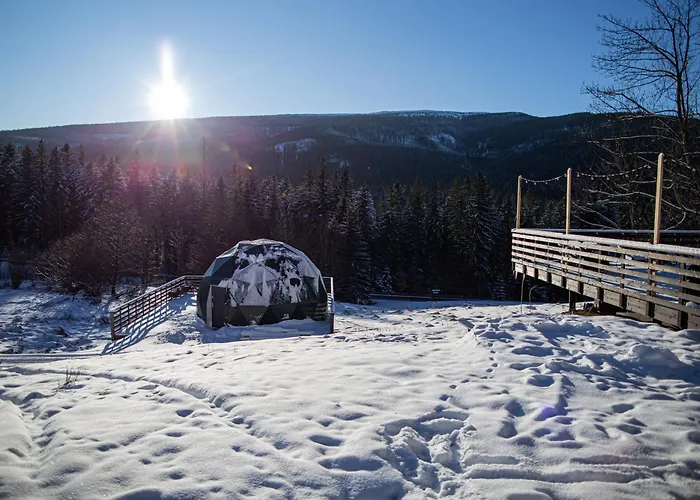 Bunny Glamp Korbielów