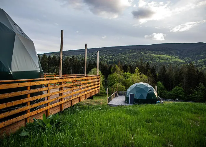 Bunny Glamp Korbielów